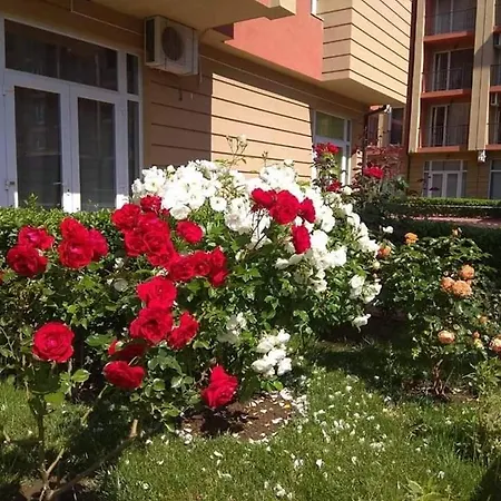 Apartment Студия-Комфорт На Солнечном Берегу В Болгарии *